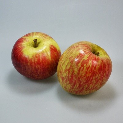 Manzana Fuji kg