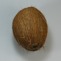Coco unidad 500 gr. aprox