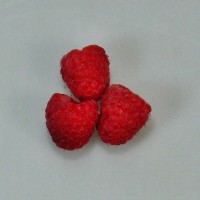 Frambuesa bandeja 125 gr.