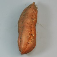 Batata kg
