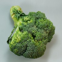 Brócoli unidad 500 gr.