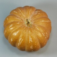 Calabaza unidad kg aprox.