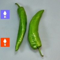 Pimiento verde 500 gr.