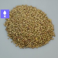 Lenteja castellana 500 gr.
