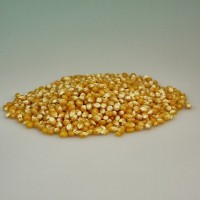 Maíz palomitas 200 gr.