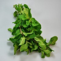 Hierbabuena fresca 50 gr